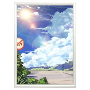 Picture of A0 Tamper Resistant Poster Frames In Silver 32mm